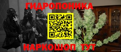 молекула духа Жуковский