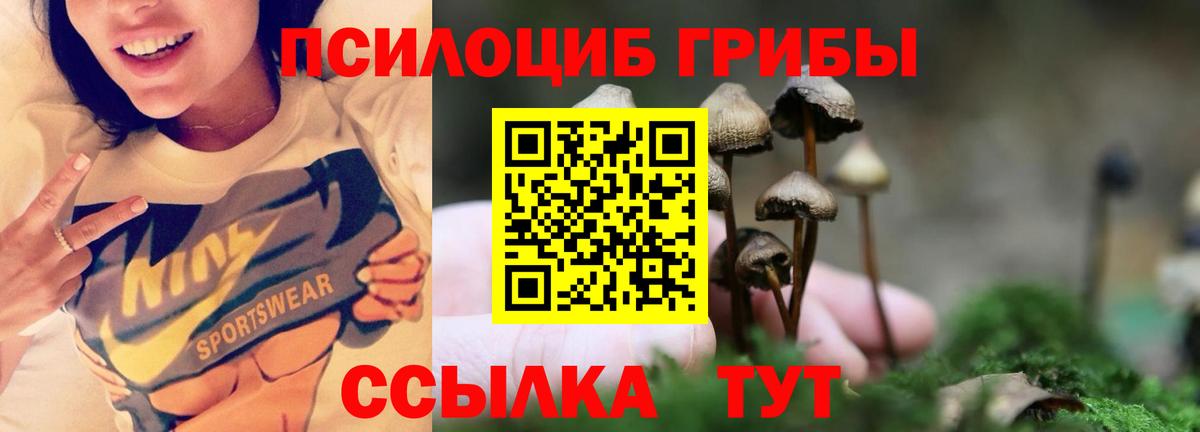 Псилоцибиновые грибы MAGIC MUSHROOMS Лосино-Петровский